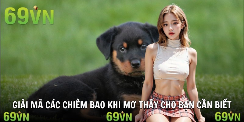 nam mo thay cho chiem bao 1 Câu trả lời liên quan tới chiêm bao thấy chó của bạn